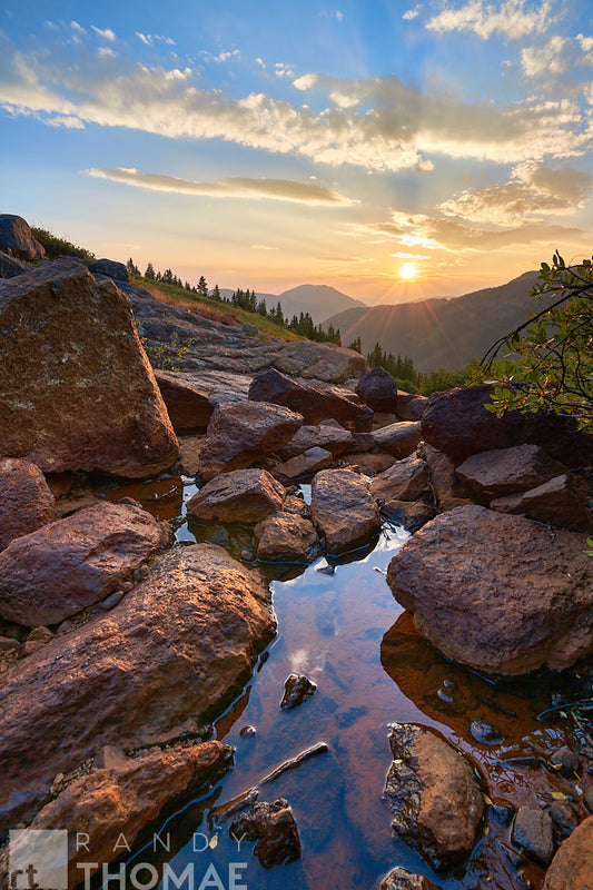 Days Edge