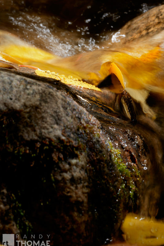 Folding II