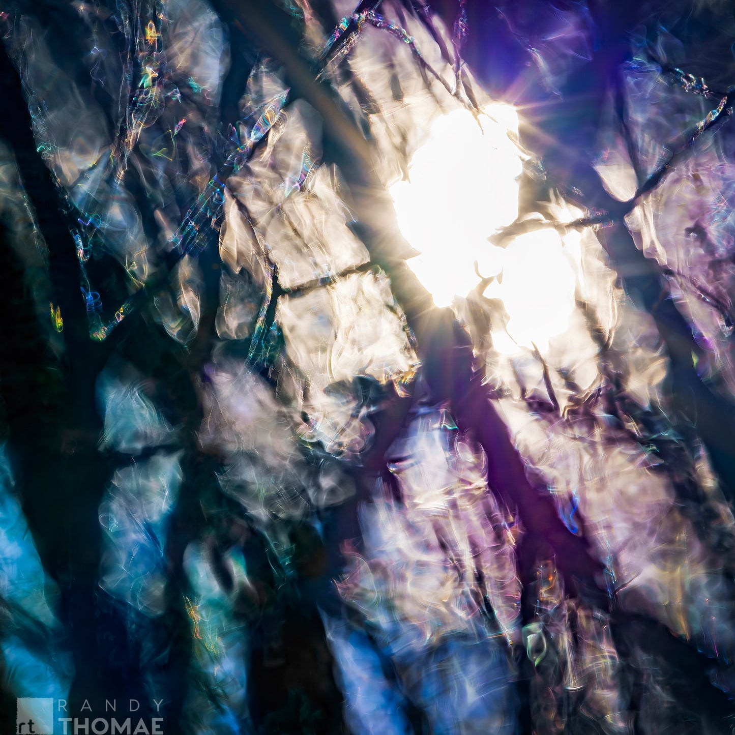 10x10 Metal prints: "Windows on the Fragile Nature of Hope"